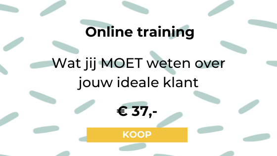 online training ideale klant